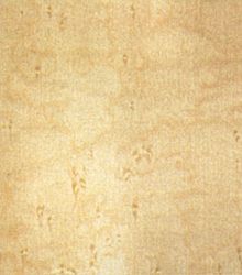 birdseye maple