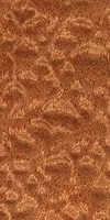 sapele pomele veneer