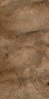 walnut burl veneer